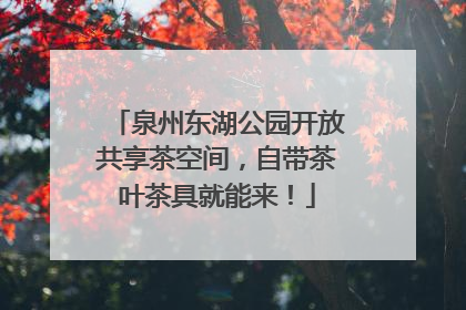 泉州东湖公园开放共享茶空间，自带茶叶茶具就能来！