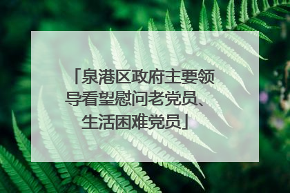 泉港区政府主要领导看望慰问老党员、生活困难党员