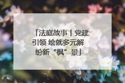 法庭故事丨党建引领 绘就多元解纷新“枫”景