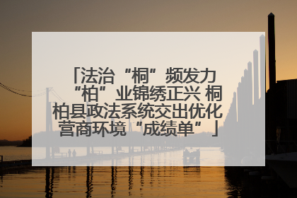 法治“桐”频发力 “柏”业锦绣正兴 桐柏县政法系统交出优化营商环境“成绩单”