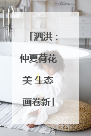 泗洪：仲夏荷花美 生态画卷新