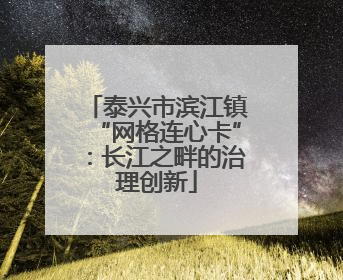 泰兴市滨江镇“网格连心卡”：长江之畔的治理创新