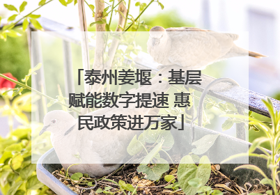 泰州姜堰：基层赋能数字提速 惠民政策进万家