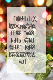泰州市姜堰区顾高镇开展“e路同行 清朗有我”网络辟谣宣传活动