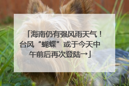 海南仍有强风雨天气！台风“蝴蝶”或于今天中午前后再次登陆→