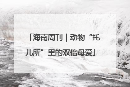 海南周刊｜动物“托儿所”里的双倍母爱