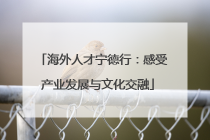 海外人才宁德行：感受产业发展与文化交融