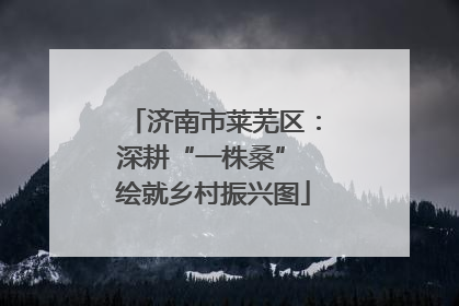济南市莱芜区：深耕“一株桑” 绘就乡村振兴图