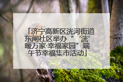 济宁高新区洸河街道东闸社区举办“‘洸’暖万家·幸福家园”端午节幸福集市活动