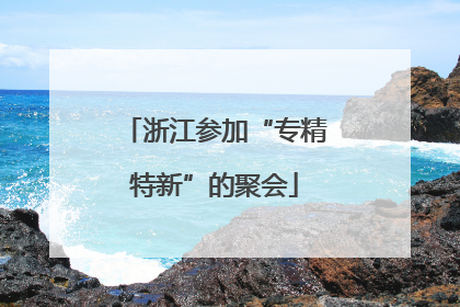 浙江参加“专精特新”的聚会