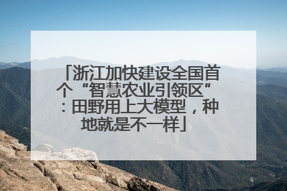 浙江加快建设全国首个“智慧农业引领区”：田野用上大模型，种地就是不一样