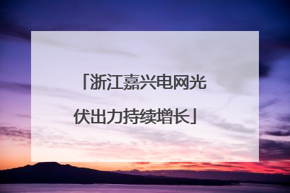 浙江嘉兴电网光伏出力持续增长