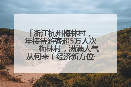浙江杭州梅林村，一年接待游客超5万人次——梅林村，满满人气从何来（经济新方位·农村消费观察）