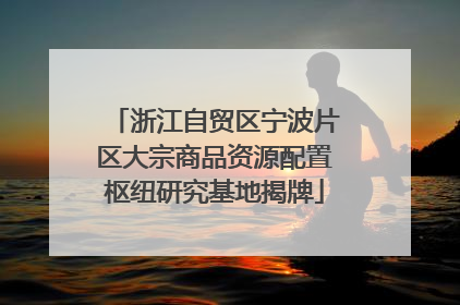 浙江自贸区宁波片区大宗商品资源配置枢纽研究基地揭牌