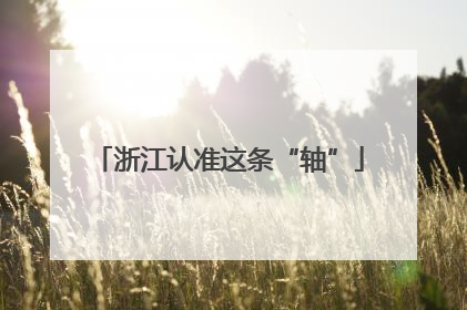 浙江认准这条“轴”