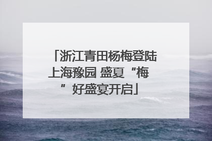 浙江青田杨梅登陆上海豫园 盛夏“梅”好盛宴开启