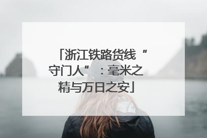 浙江铁路货线“守门人”：毫米之精与万日之安
