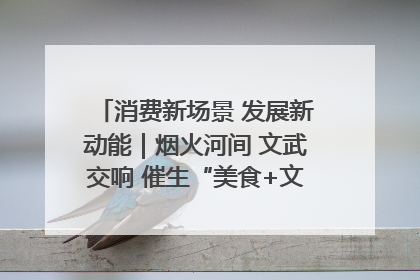 消费新场景 发展新动能｜烟火河间 文武交响 催生“美食+文化”消费新场景
