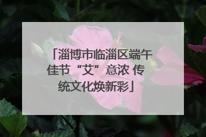 淄博市临淄区端午佳节“艾”意浓 传统文化焕新彩