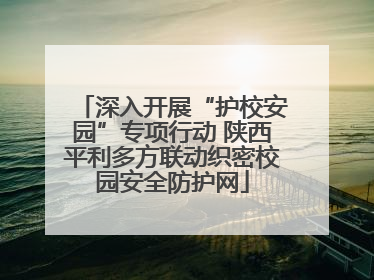 深入开展“护校安园”专项行动 陕西平利多方联动织密校园安全防护网