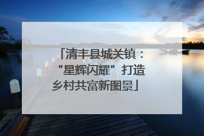 清丰县城关镇：“星辉闪耀”打造乡村共富新图景