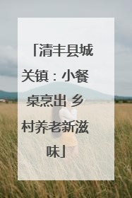 清丰县城关镇：小餐桌烹出 乡村养老新滋味