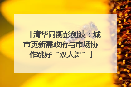 清华同衡彭剑波：城市更新需政府与市场协作跳好“双人舞”