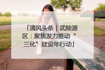 清风头条｜武陵源区：聚焦发力推动“三化”建设年行动