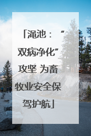 渑池：“双病净化”攻坚 为畜牧业安全保驾护航