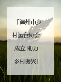 温州市乡村运营协会成立 助力乡村振兴