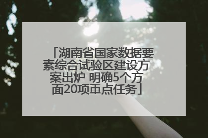 湖南省国家数据要素综合试验区建设方案出炉 明确5个方面20项重点任务