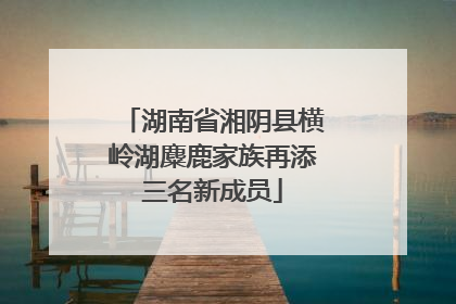 湖南省湘阴县横岭湖麋鹿家族再添三名新成员