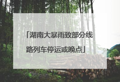 湖南大暴雨致部分线路列车停运或晚点