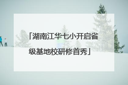 湖南江华七小开启省级基地校研修首秀