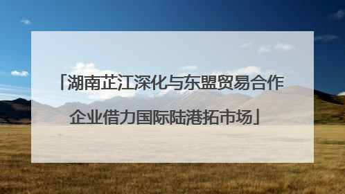 湖南芷江深化与东盟贸易合作 企业借力国际陆港拓市场