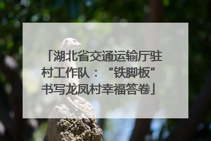 湖北省交通运输厅驻村工作队：“铁脚板”书写龙凤村幸福答卷