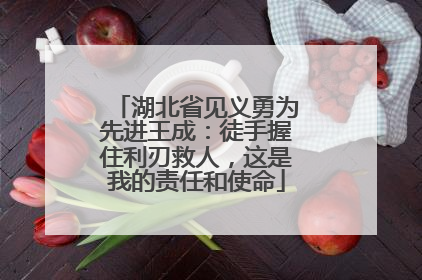 湖北省见义勇为先进王成：徒手握住利刃救人，这是我的责任和使命