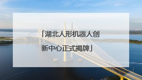 湖北人形机器人创新中心正式揭牌