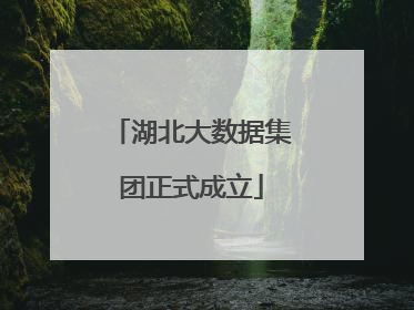 湖北大数据集团正式成立