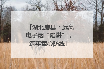 湖北房县：远离电子烟“陷阱”，筑牢童心防线