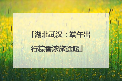 湖北武汉：端午出行粽香浓旅途暖