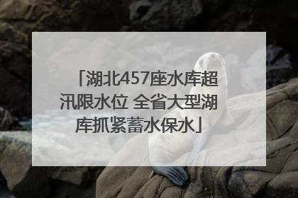 湖北457座水库超汛限水位 全省大型湖库抓紧蓄水保水