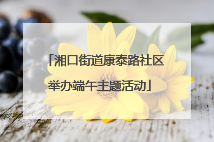 湘口街道康泰路社区举办端午主题活动