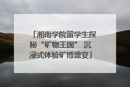 湘南学院留学生探秘“矿物王国” 沉浸式体验矿博盛宴