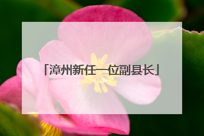 漳州新任一位副县长