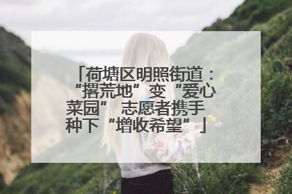 荷塘区明照街道：“撂荒地”变“爱心菜园” 志愿者携手种下“增收希望”