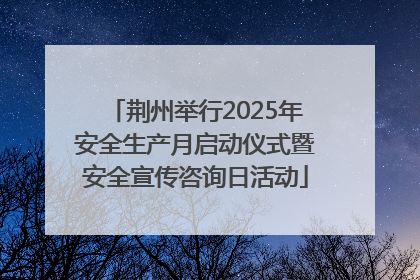 荆州举行2025年安全生产月启动仪式暨安全宣传咨询日活动