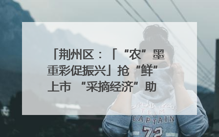 荆州区：「“农”墨重彩促振兴」抢“鲜”上市 “采摘经济”助农“甜蜜增收”