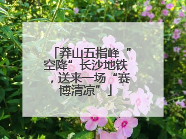 莽山五指峰“空降”长沙地铁，送来一场“赛博清凉”