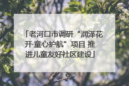 老河口市调研“润泽花开·童心护航”项目 推进儿童友好社区建设